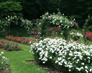 Take your wedding photos at the Rose Garden in Norwich, CT!