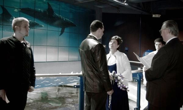 Indoor weddings at the Mystic Aquarium can take place on the Mezzanine.