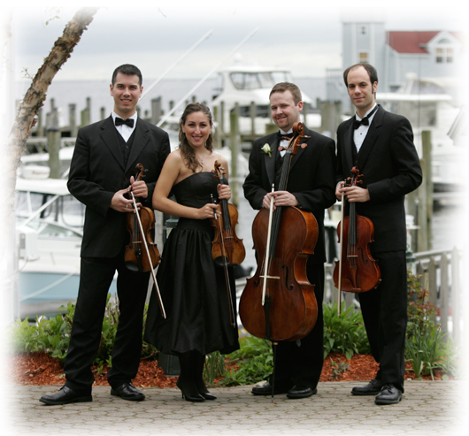 Divina Strings: String Trios, or String Quartets, to unique wedding bands!