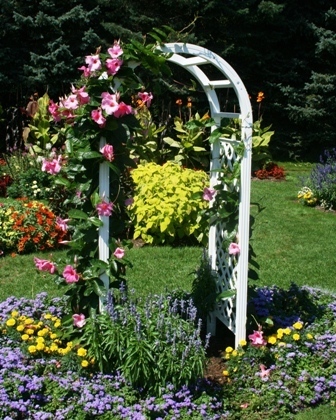 Wedding trellis in Elizabeth Park Perennial Garden