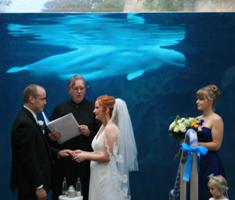 Mystic Aquarium wedding - Watched by whale